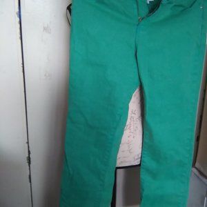 SIZE 6p DIANE GILMAN GREEN STRETCH JEAN FULL PANTS